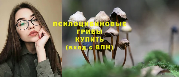 скорость Краснослободск